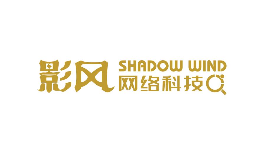 胡莘亮 以网络技术为支点，撬动未来商业新生态