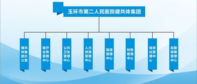 玉环二医健共体集团一体化工作推进 以网络技术打造整合型医疗服务体系